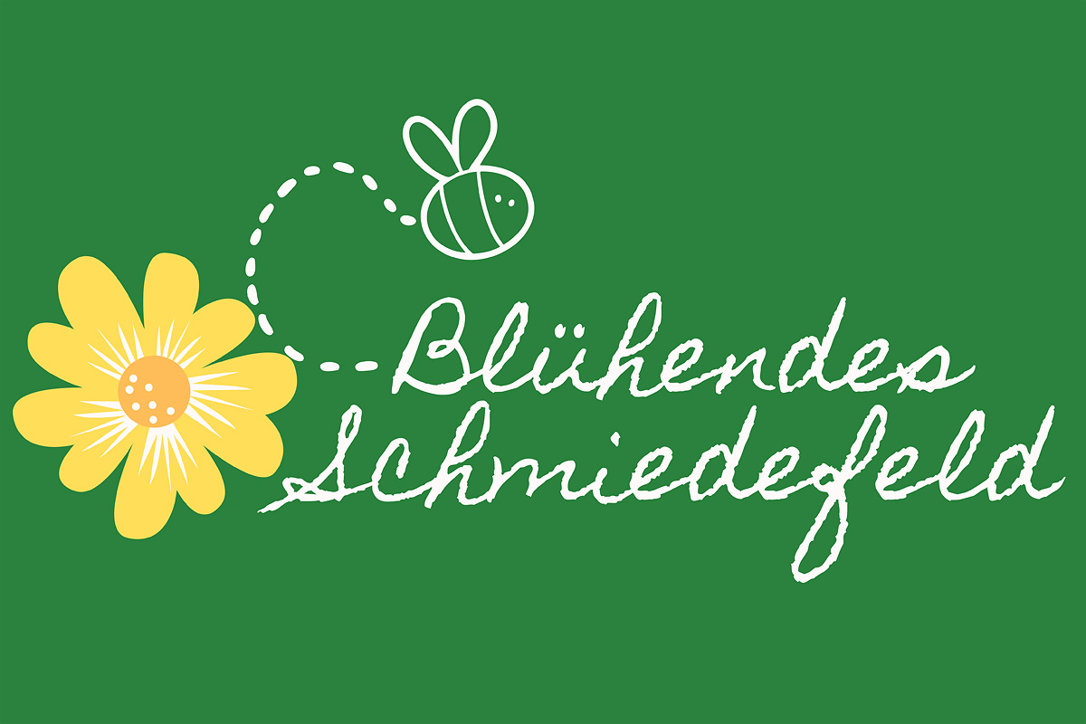 Blumenwiese in Schmiedefeld am Rennsteig