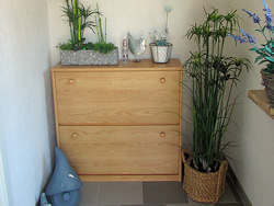 Ferienwohnung Engelhardt